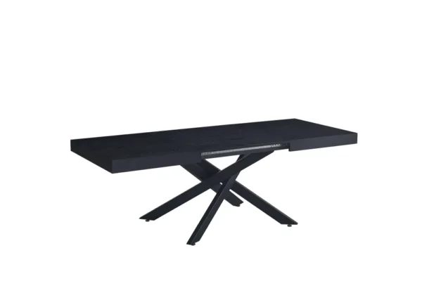 BALNI Extensible – Image 3